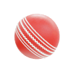 cricket-ball icon