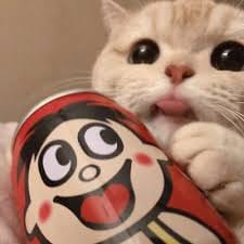 Nikhil Trivedi avatar