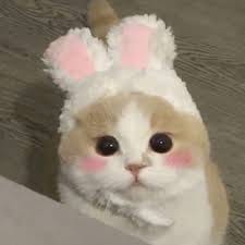 Nikhil Agrawal avatar